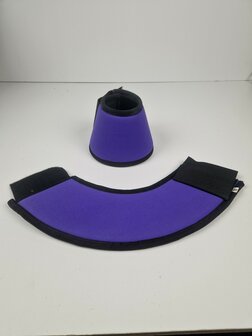 Amidale sprnigschoen pony purple