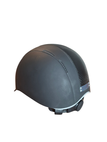 Harry's Horse Concorde